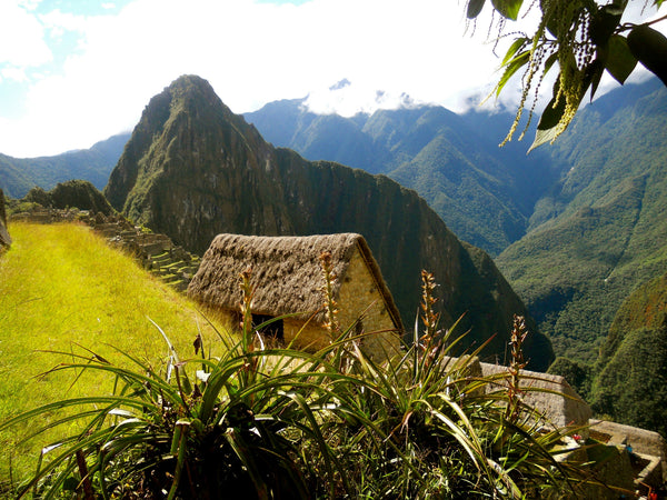 Machu Picchu Entry Tickets & Circuits Explained (Rules You Need to Know)
