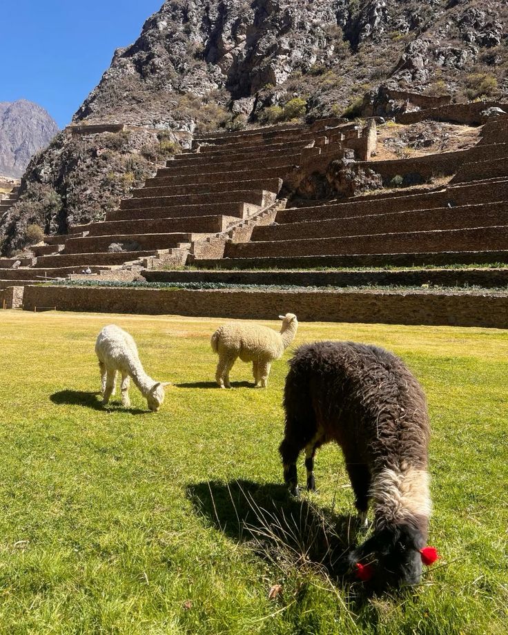 Sacred Valley Classic Tour