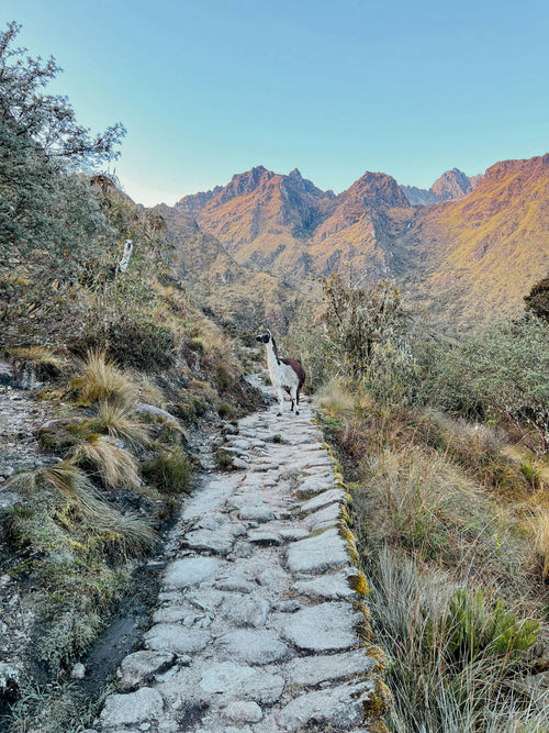 Classic Inca Trail Trek to Machu Picchu – 4 Days