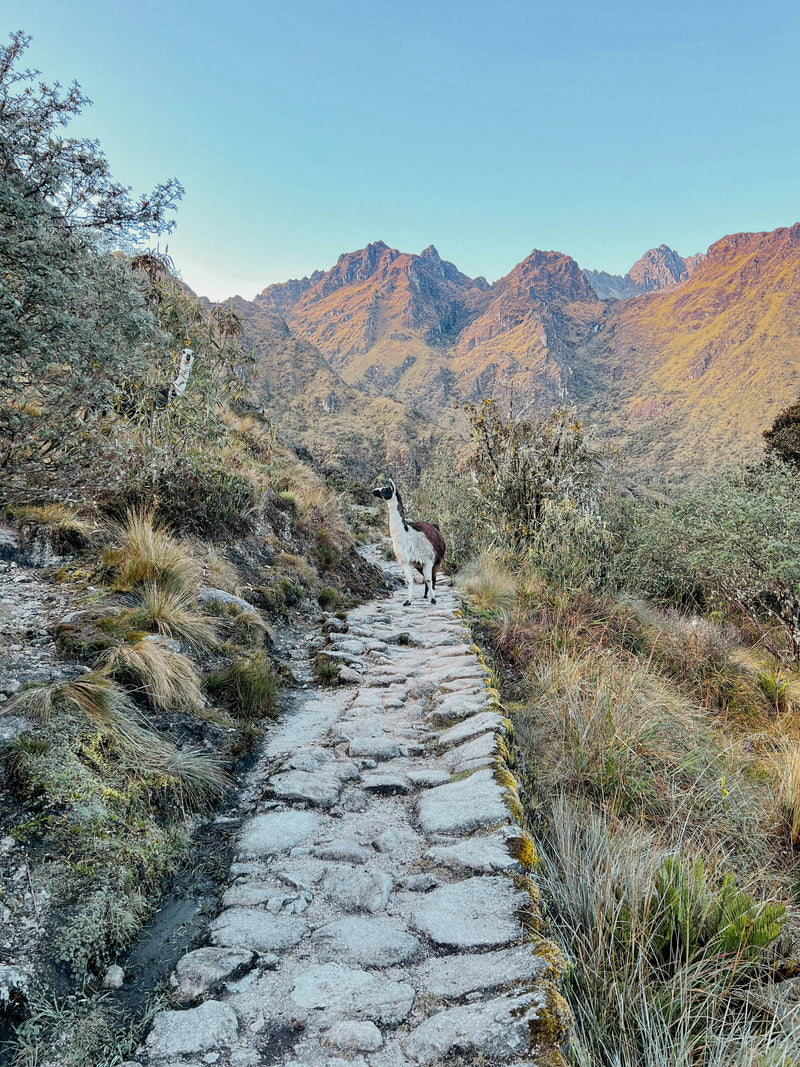 Classic Inca Trail Trek to Machu Picchu – 4 Days