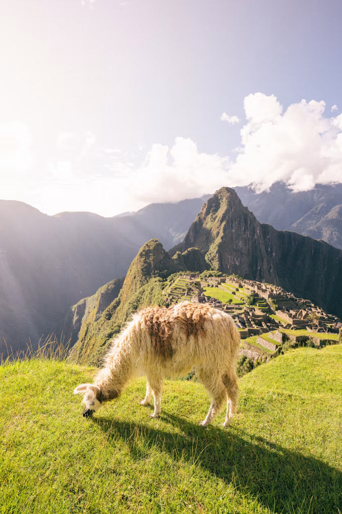One-Day Inca Trail Hike to Machu Picchu