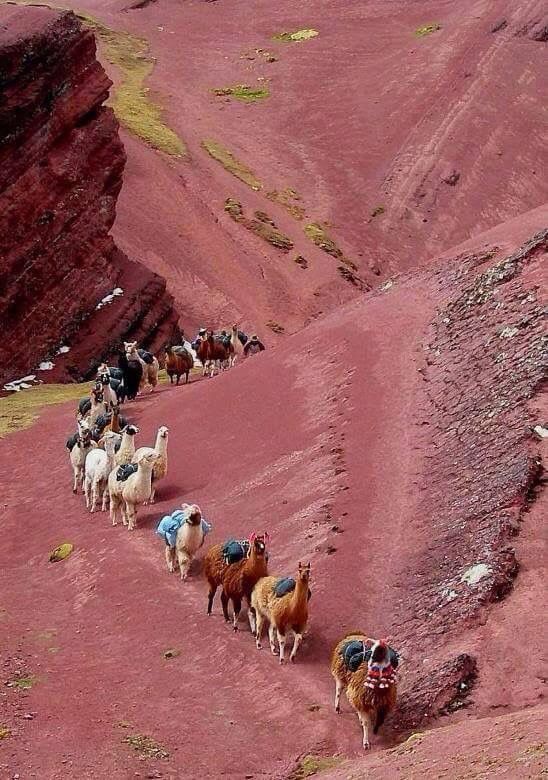 Machu Picchu + Sacred Valley VIP + Rainbow Mountain – 3 Days