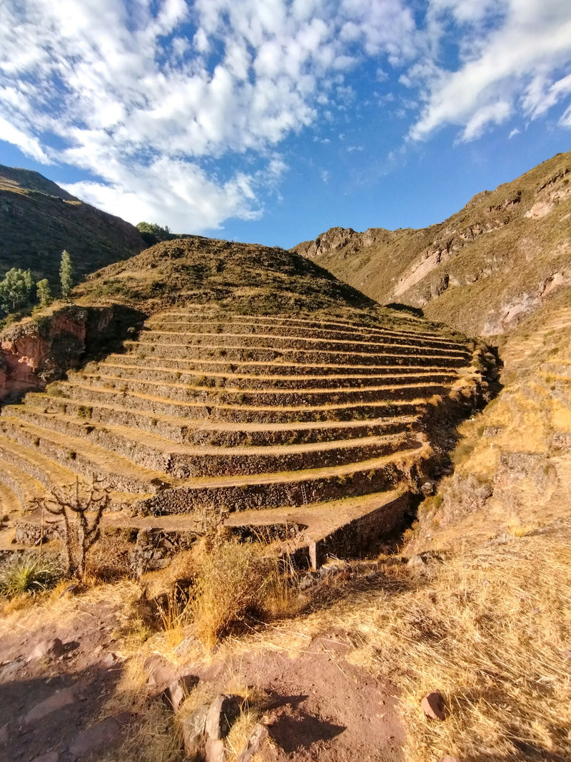 Sacred Valley Classic Tour: Pisac & Ollantaytambo